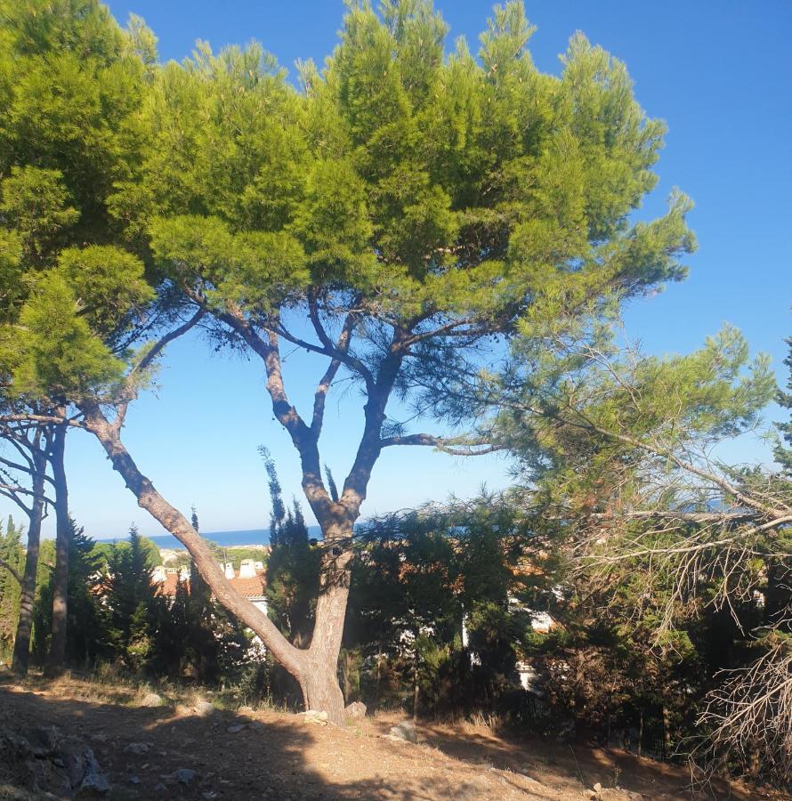 T2 Vue Mer Avec Parking Prive Saint-Pierre-la-Mer  Exterior photo